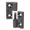 Zawias 30x30mm , GN 237-ZD-30-30-A-SW